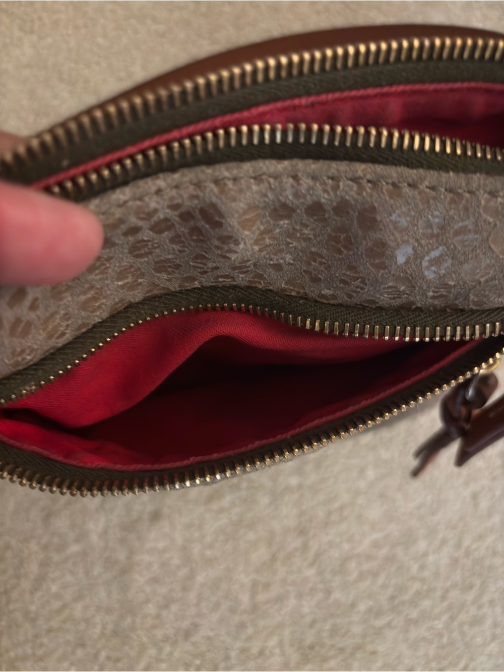 Dooney & Bourke Brown Snake-Embossed Crossbody with Leather Trim - Picture 5 of 6
